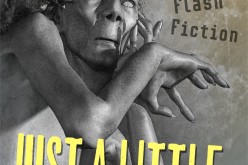 Review: “Just a Little Terrible” by Vincent V. Cava